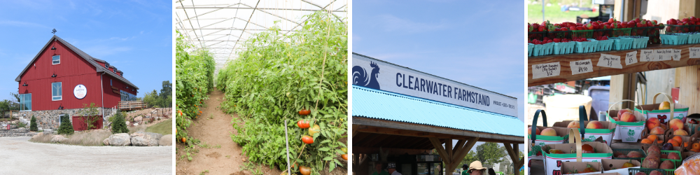 Clearwater Farm Photos: Barn, Tomato, Farmstand, Fruit