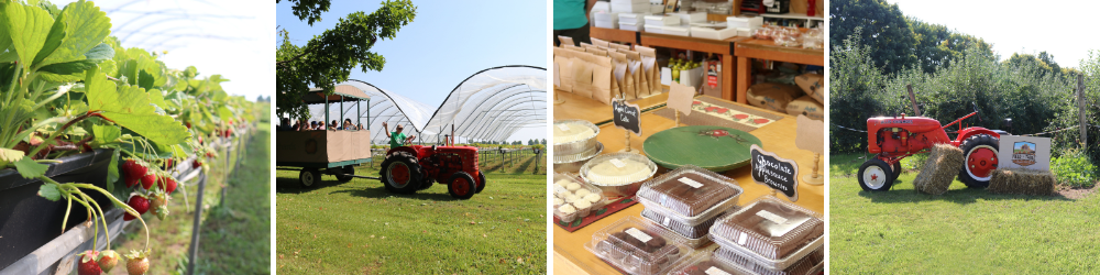 Homestead: strawberry, tractor ride, baked goods, tractor