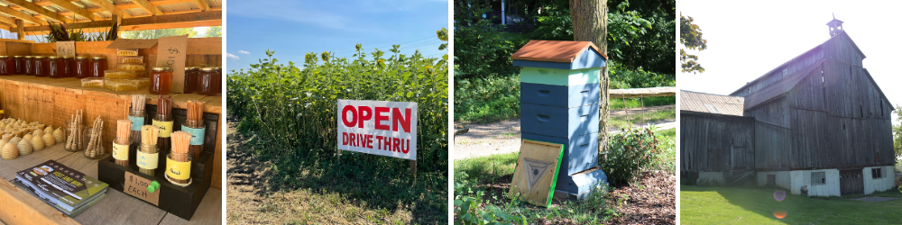 pollard: farmstand, sunflower, bees, barn